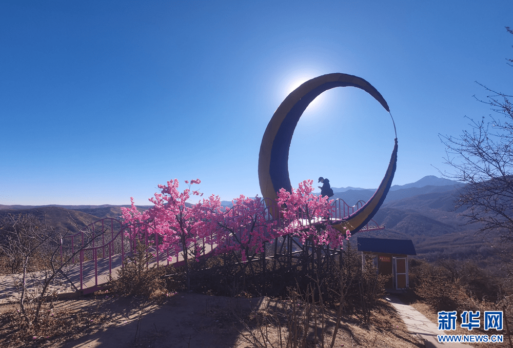 甘肃康乐:冬日白桦林别样美_景区_人文_自然