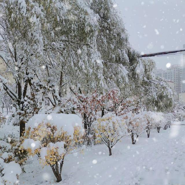 这里说的是在腊月初八这天,刚好又是入冬四九的日子,如果这天出现了