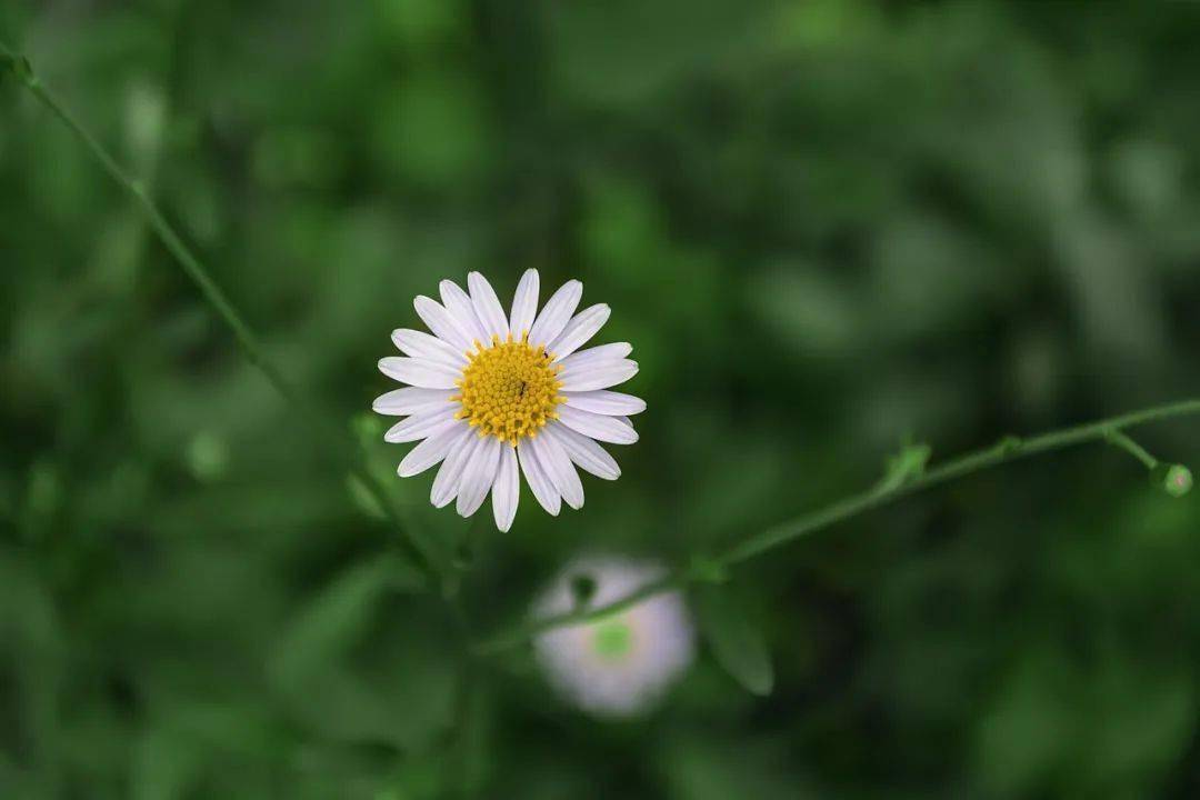 生活_节制_德行