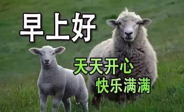 2024最美早晨好图片带字集锦 2024微信朋友圈全新早上好祝福语句子