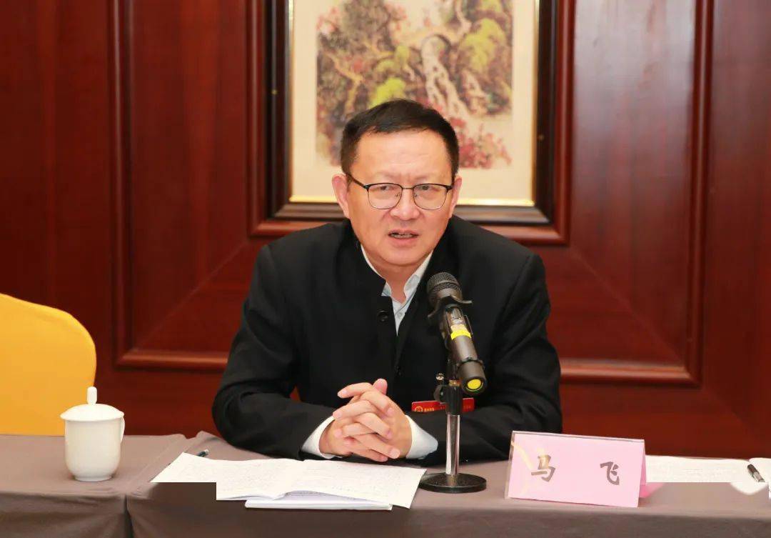 马飞参加第二代表团审议政府工作报告_发展_一体化_儋州