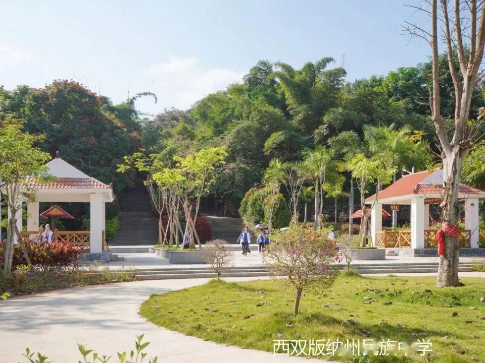 【绿美西双版纳】西双版纳州民族中学:绿打底色,美提成色,育增亮色