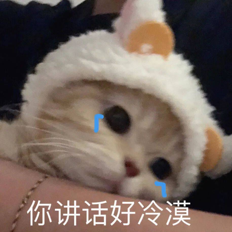 有趣的表情包,no.0119