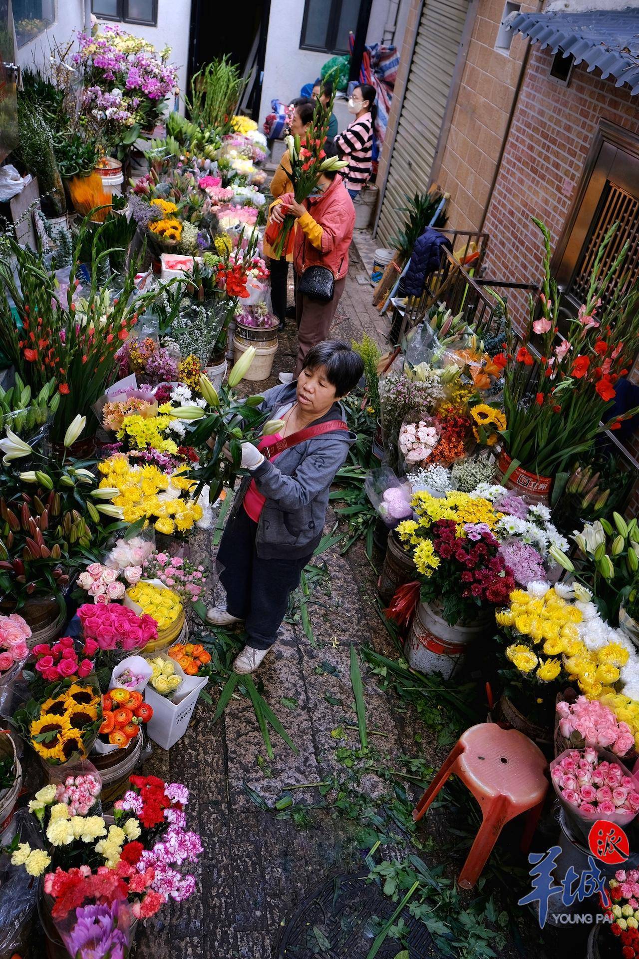 秋明拍花|漫步小巷,遇见"花姐"_广州_街坊_斤半