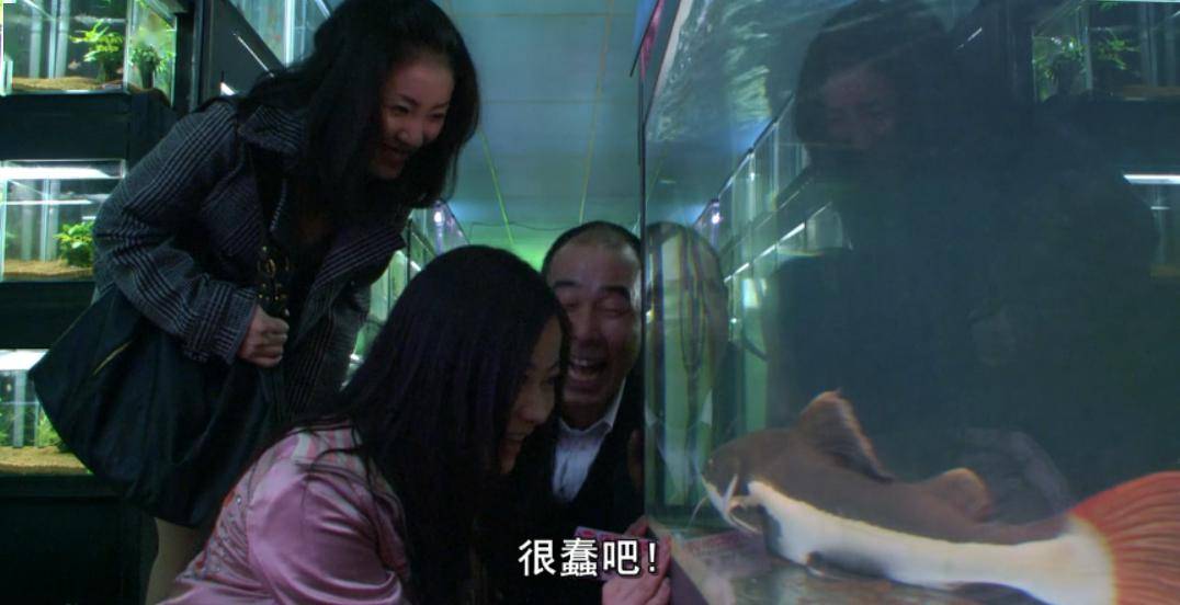 67让妻子全裸出镜,这导演太变态了_女儿_电影_热带鱼