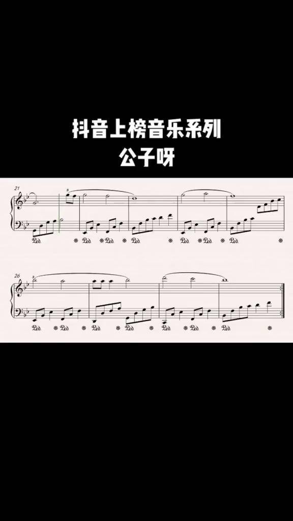 抖音公子呀简谱图片