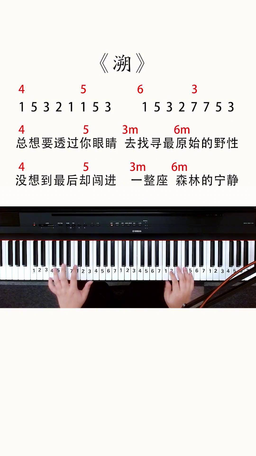 四个和弦就能搞定的一首曲子《溯》钢琴简谱 钢琴即兴伴奏 零基础学