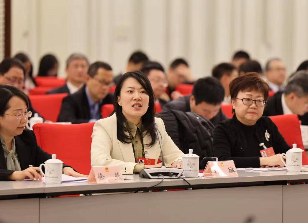 韩璐代表:发展高质量涉外法律服务,推动国际法律服务中心建设_浦东新区_建议_商事
