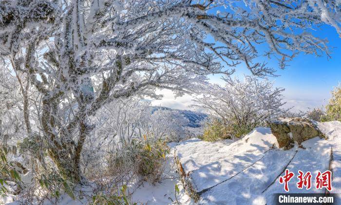 雷公山雪景图片