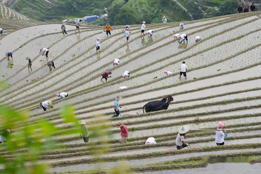 【推進文化繁榮發展】 2024年桂林市龍勝各族自治縣.