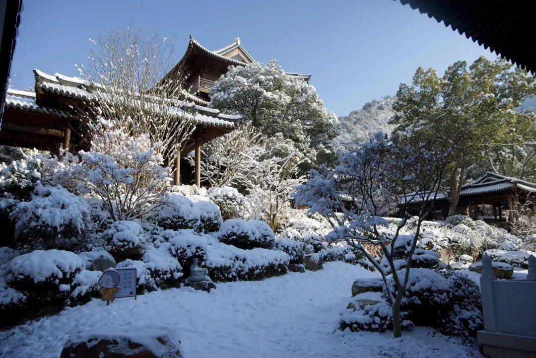 宝华寺释果宁简介图片