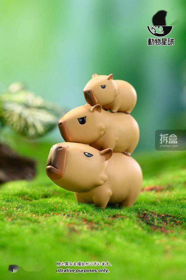 动物星球 卡皮巴拉 水豚网红表情包 可爱萌宠 盲盒手办摆件