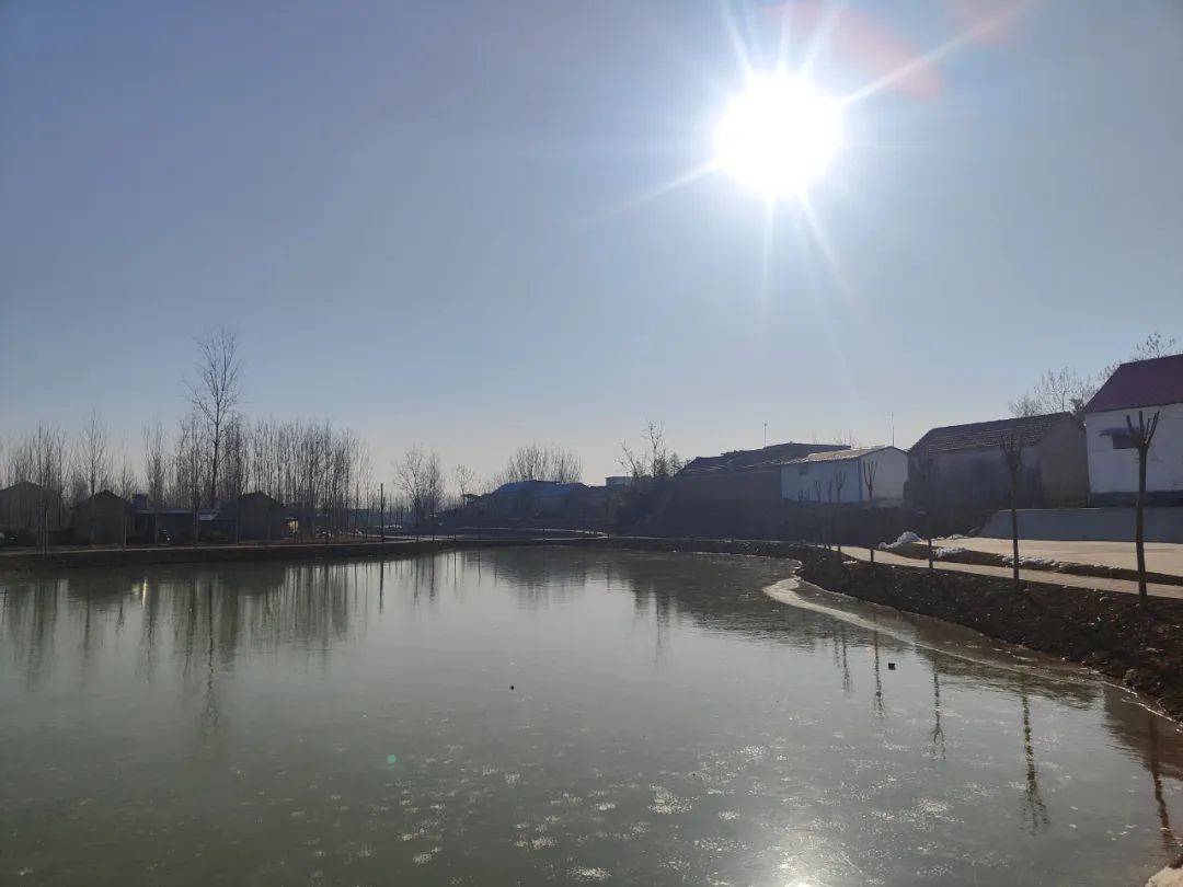 罗屯镇:清水塘治理显成效_环境_冯明俊_坑塘