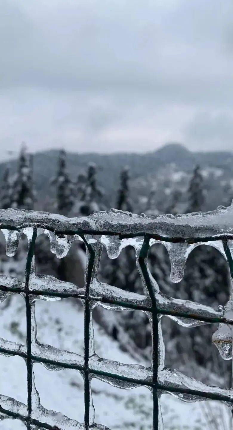 100张苗乡绝美雪景大片来袭,每一张都想收藏!_雪天_南方_雪花