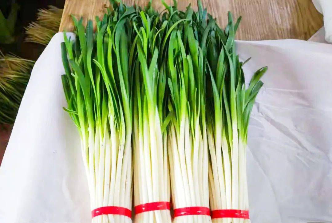 近年来,在韭菜品质提升方面,推广"绿色 追溯"的全闭环管理模式,即引导