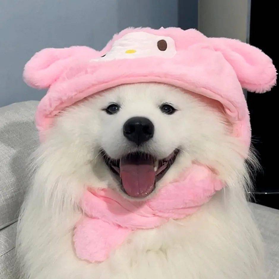 头像| ins高级感头像_带着_轮轮_什么