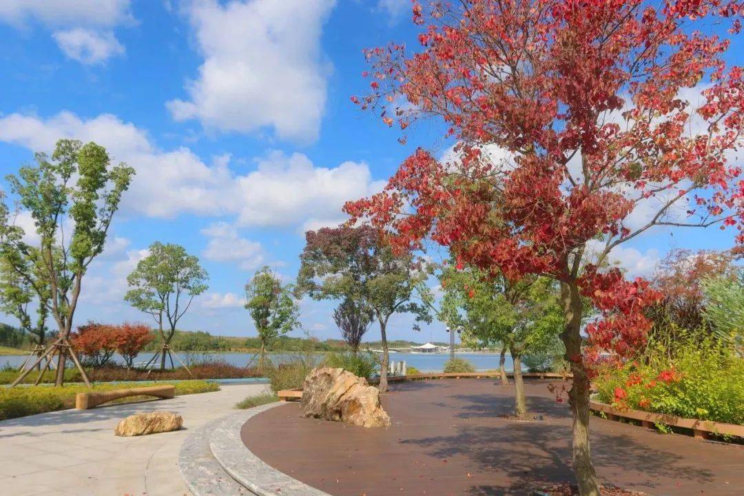 简阳龙马湖公园图片