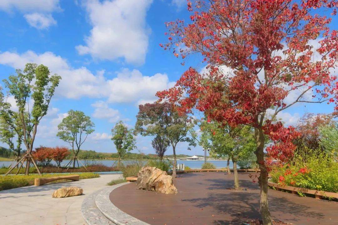 四川简州新城龙马湖公园一至四期项目全部完工_特色_山水_工程