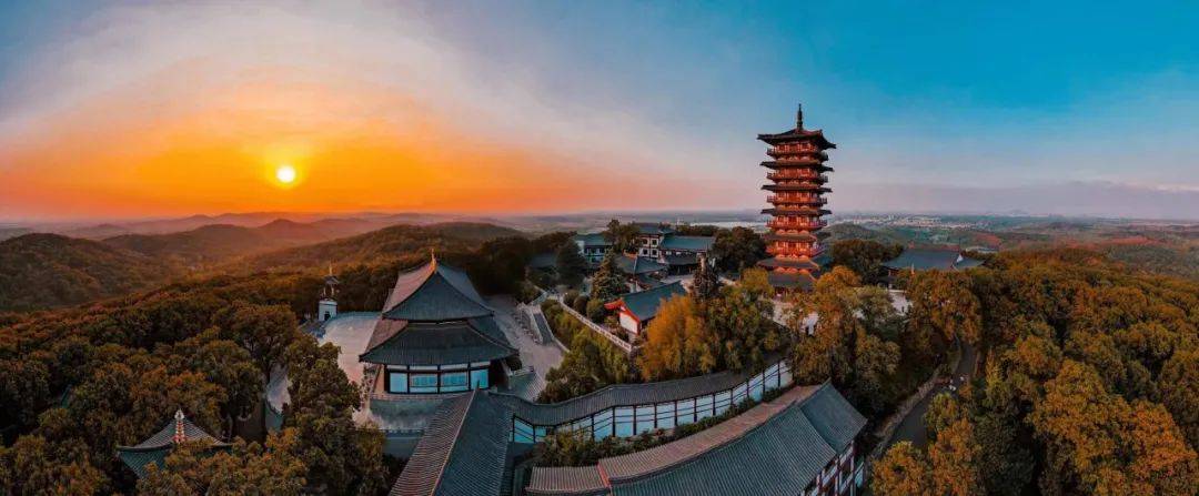 幸福坝"泼天的浪漫"_肥西县_人才_城市