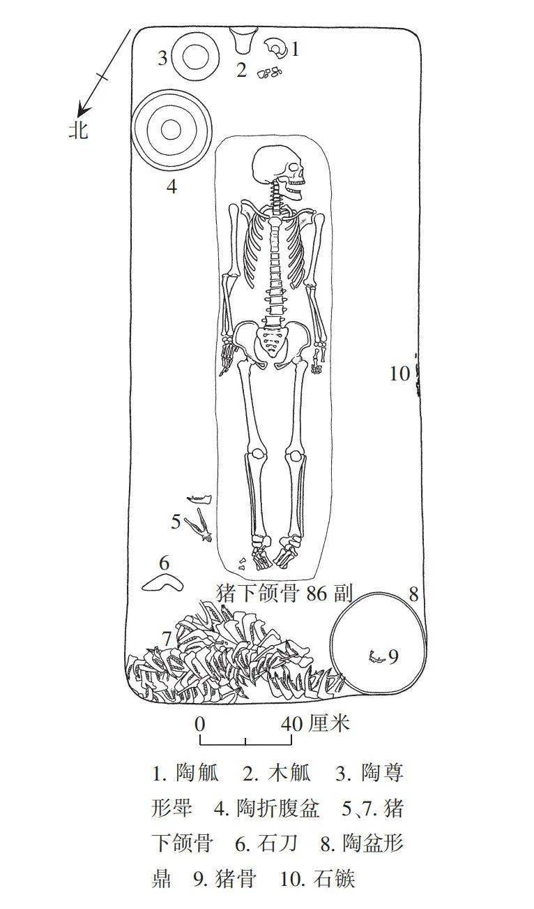 簡筆畫 手繪 線稿 766_1302 豎版 豎屏