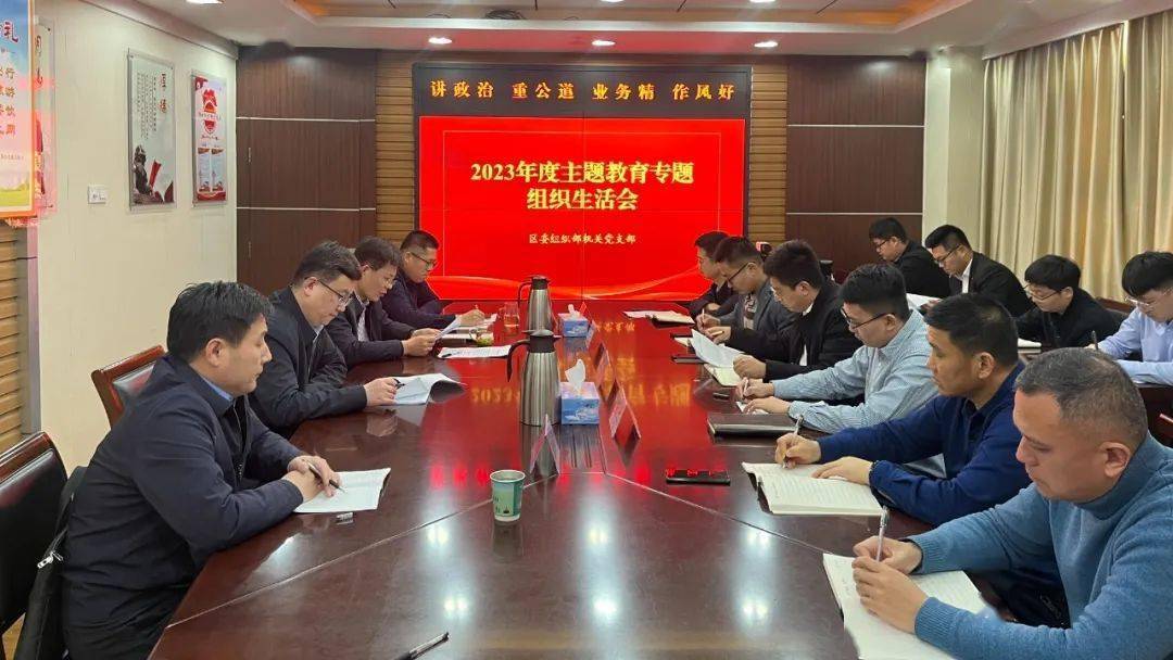 组工动态丨区委组织部机关党支部召开2023年度主题教