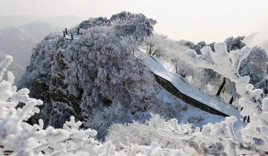 現存詩歌500多首,以短篇的五言古詩最多,代表作有《遊子吟》.有