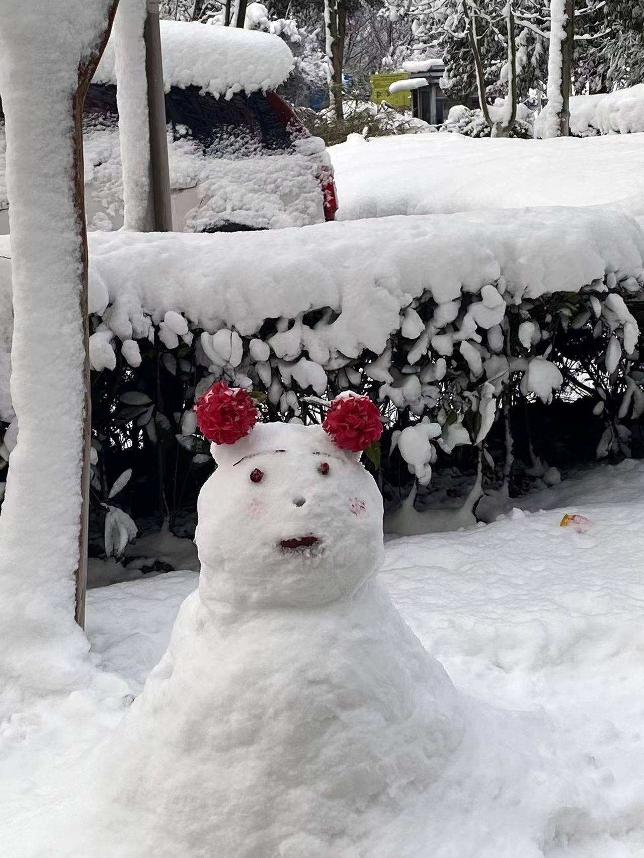 暴雪正确向上的图片图片