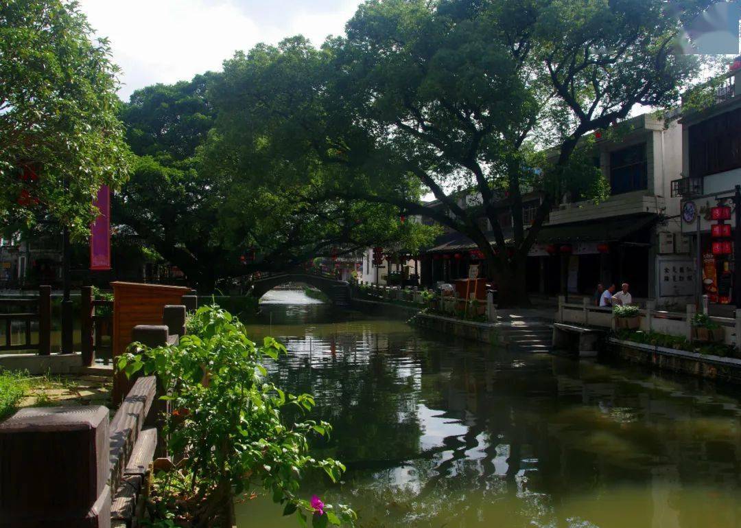 【瓯江潮漫游】平阳鸣山古村 雨烟如梦如幻