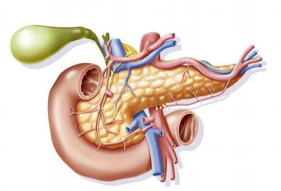 胰腺癌的五年生存率只有5%至10%,绝大部分患者在诊断胰腺癌半年内死亡