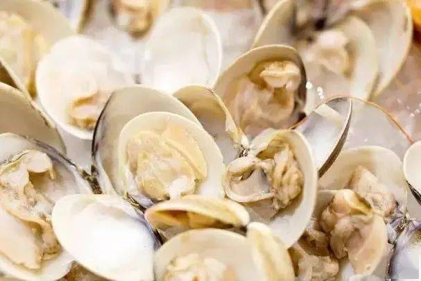 止腹泻,健脾胃,试试这道用"花"做食材的靓汤~_蛤蜊_虾米_广州市