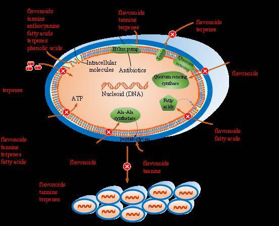 byproducts: a comprehensive review