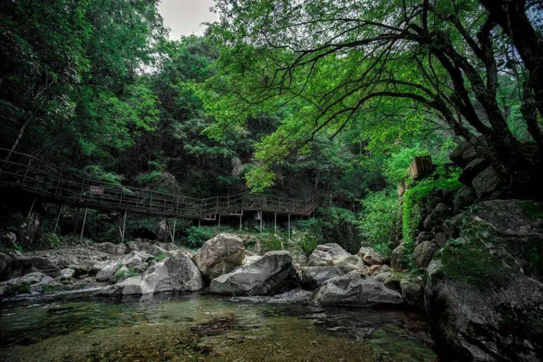 硒養石臺尋冬趣 | 醉山野景區新春送福利,本地居民遊