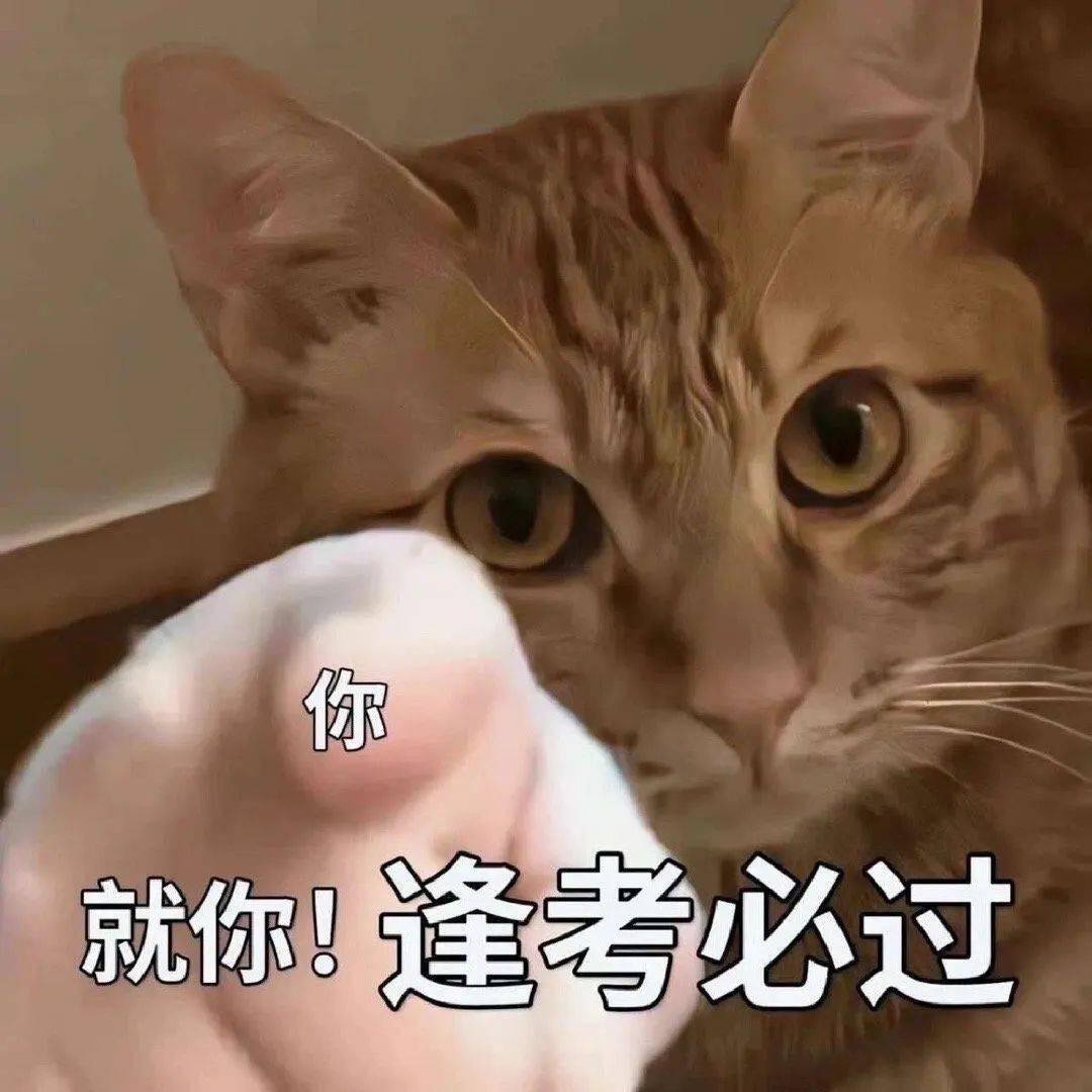 职引未来