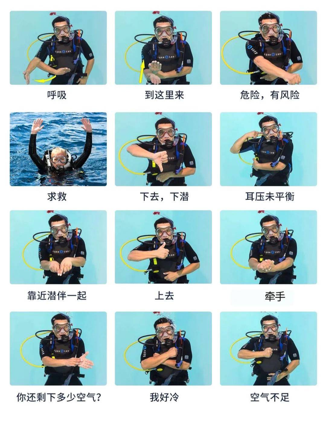 水下手势大复习!下水前要牢记在心!_潜水员_空气_方向