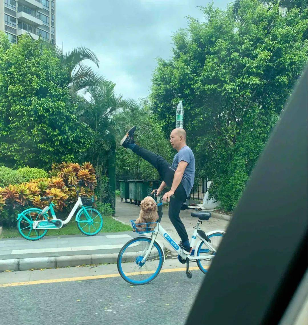 看了佛山阿叔騎自行車,才知道什麼是高手在民間