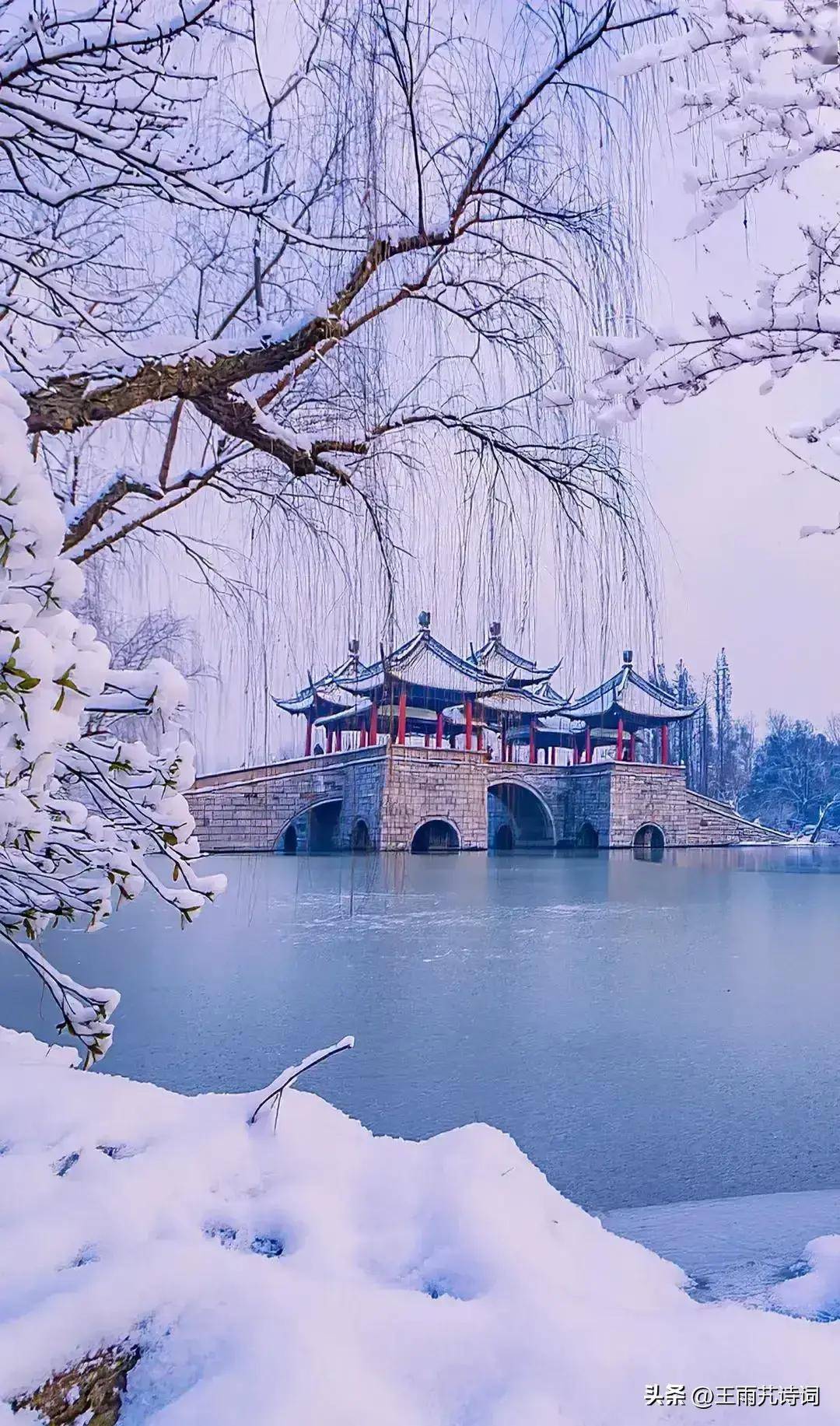 七律·飞雪迎春