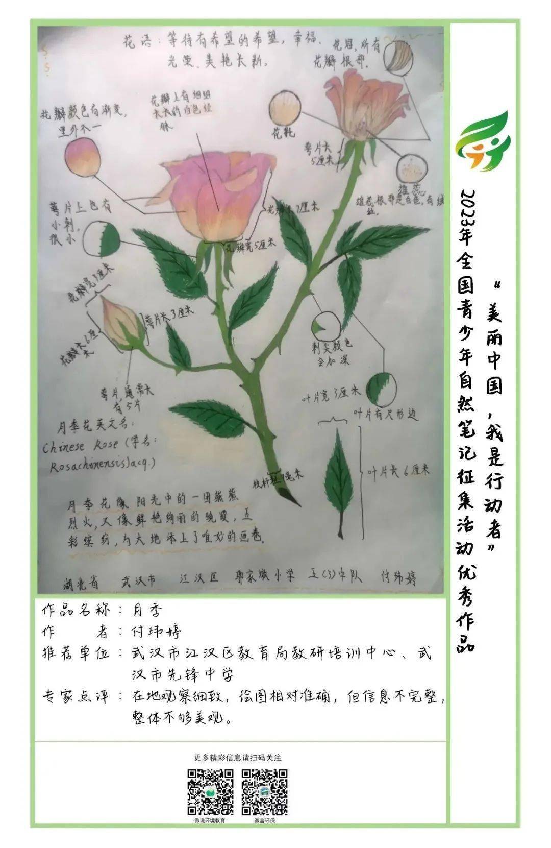 "美丽中国,我是行动者"2023年全国青少年自然笔记征集活动优秀作品(第