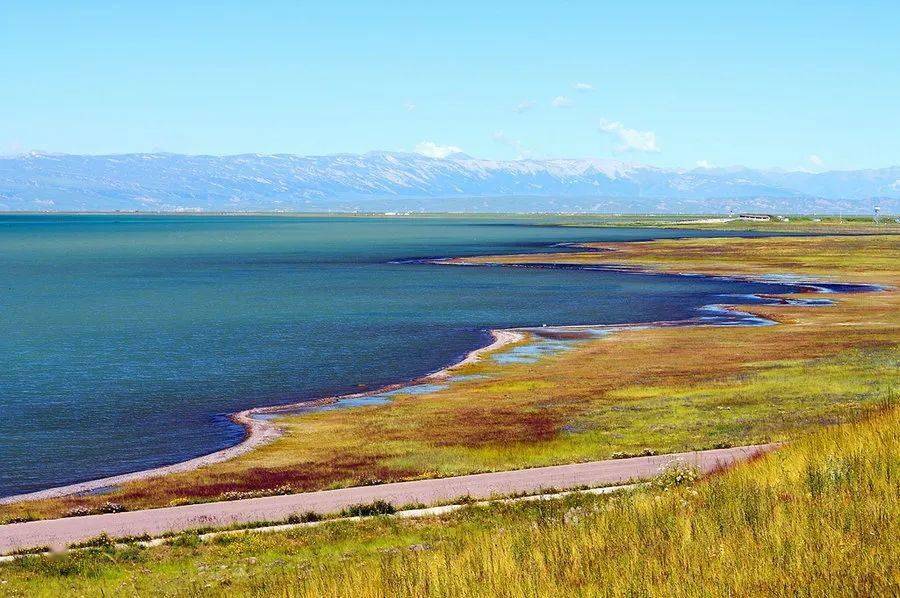 语言资源|马梦玲:存古与变异的青海汉语方言_词汇_乐都_声母