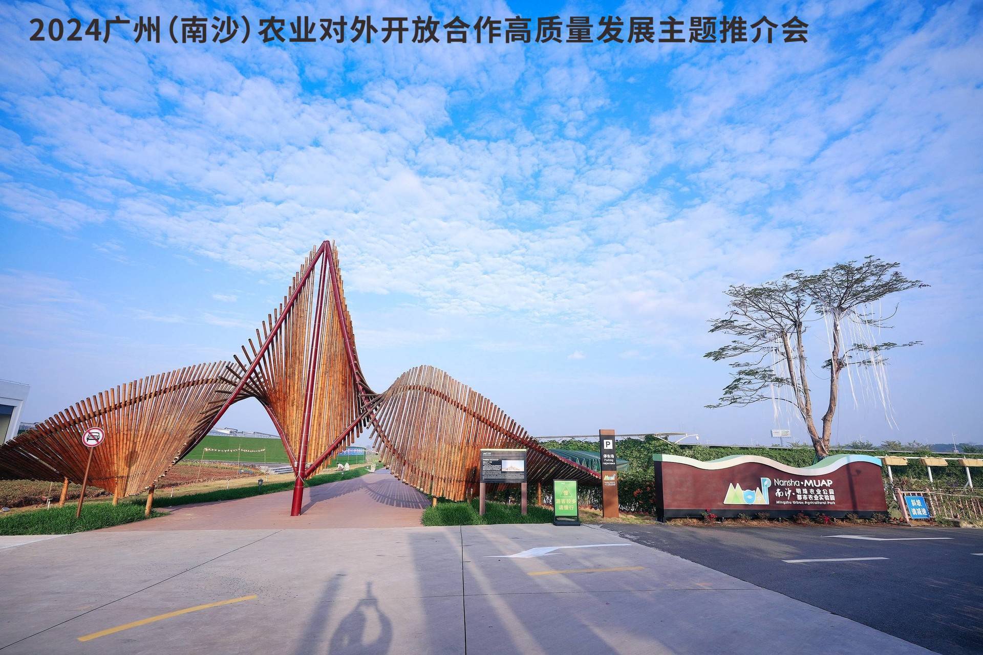 广州南沙着力推动"一园四区"建设,探索农业高水平对外开放的南沙模式