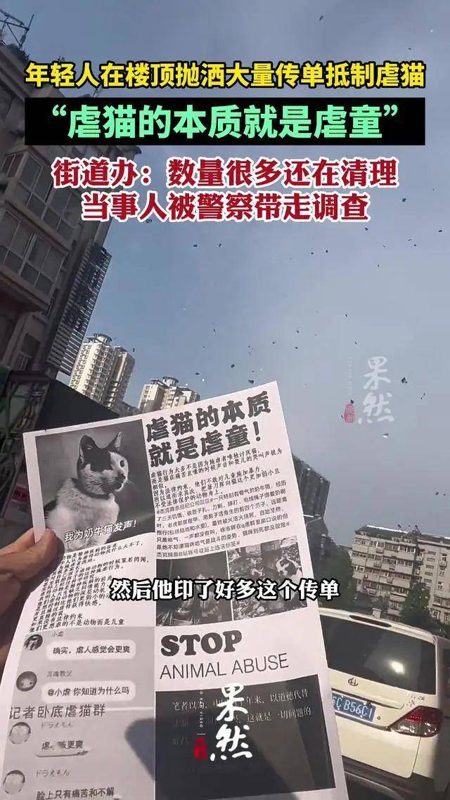 訃告:她意外去世,刺痛全網!_主人_猴子_貓咪