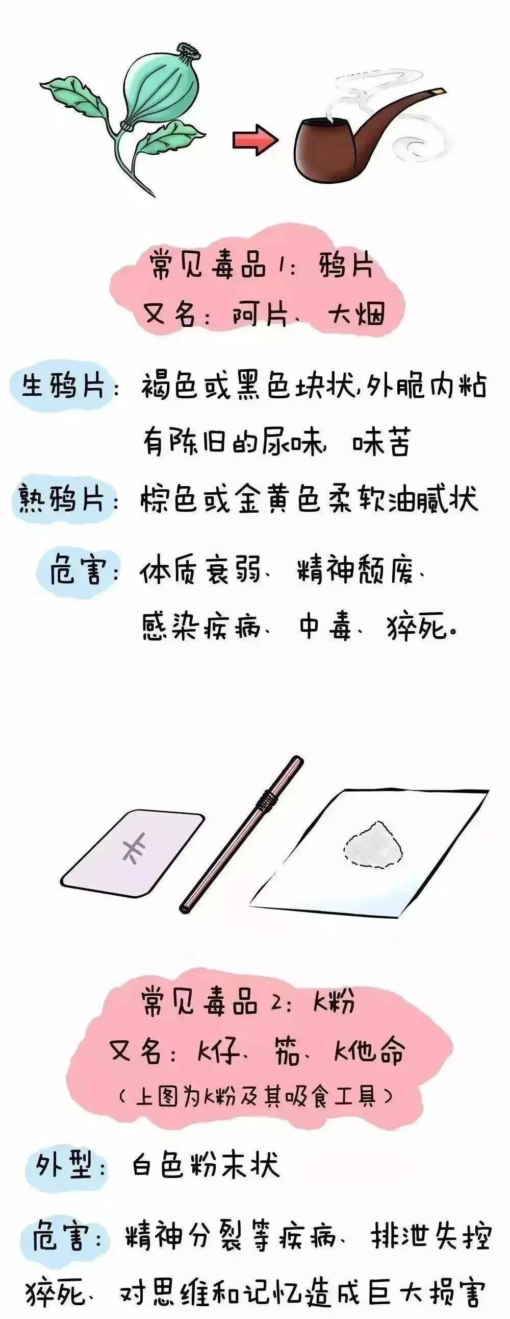 科普| 珍愛生命 遠離毒品——禁毒知識宣傳教育__國家