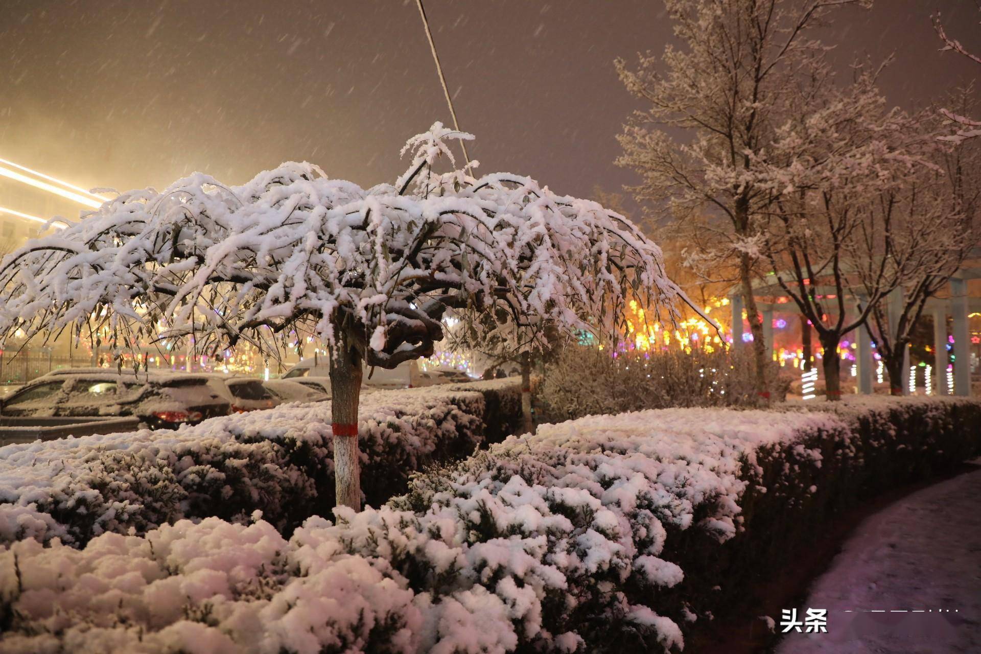 环县:热雪沸腾迎新年