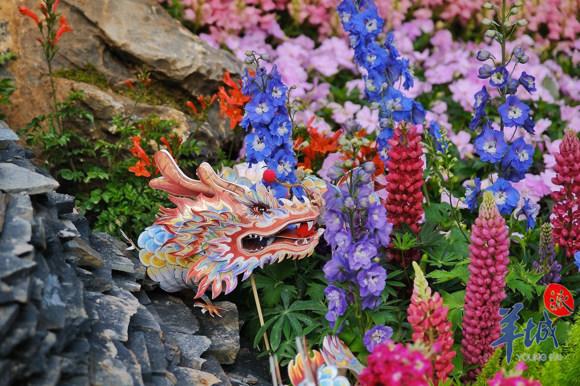 提前探访第31届广州园博会,揭秘吸睛看点 全新玩法_城市花园_湾区