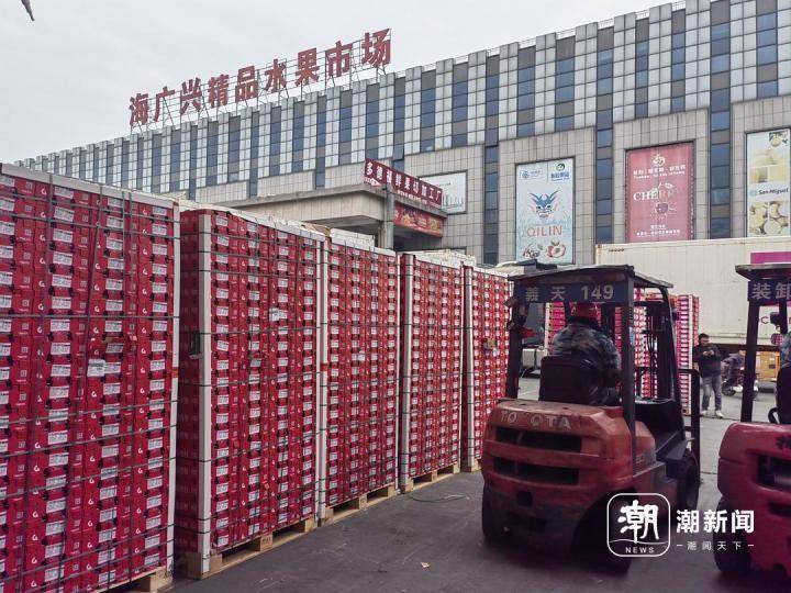嘉兴水果市场的海广兴精品水果交易区,运送车厘子的叉车来回穿梭,忙碌