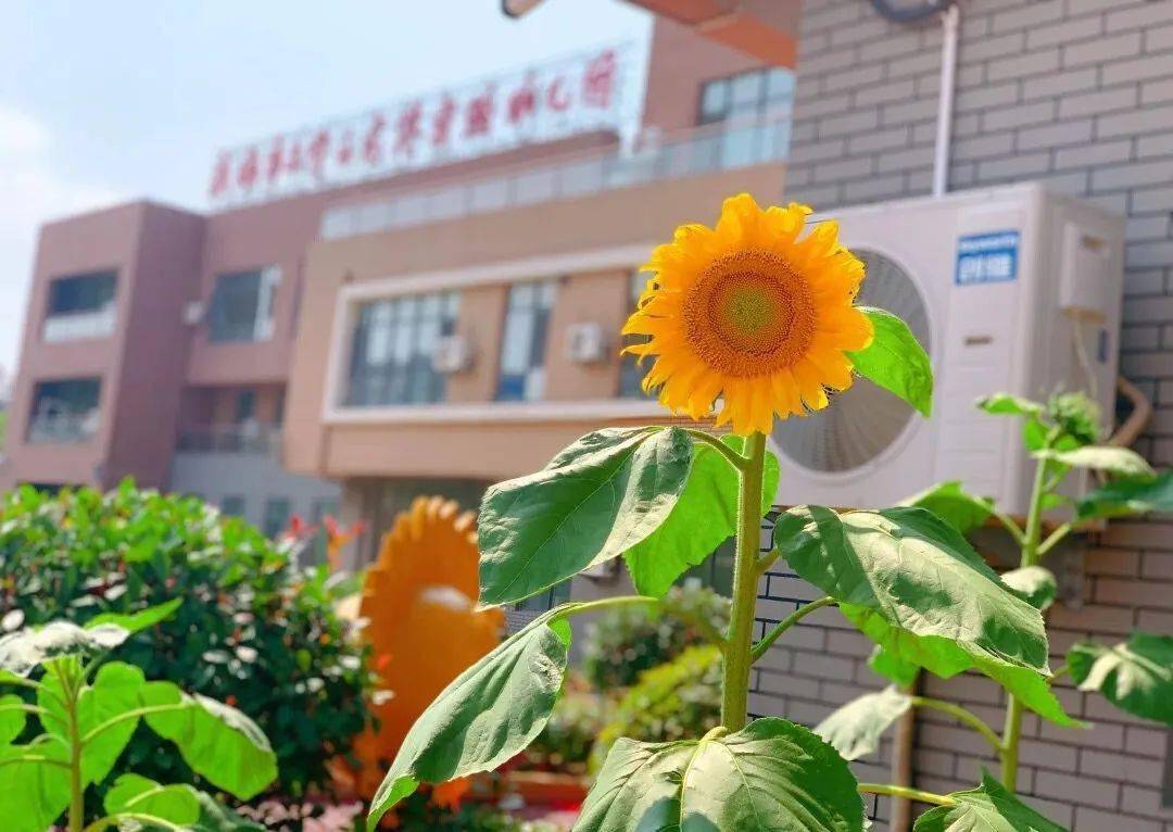 文登区龙港实验幼儿园