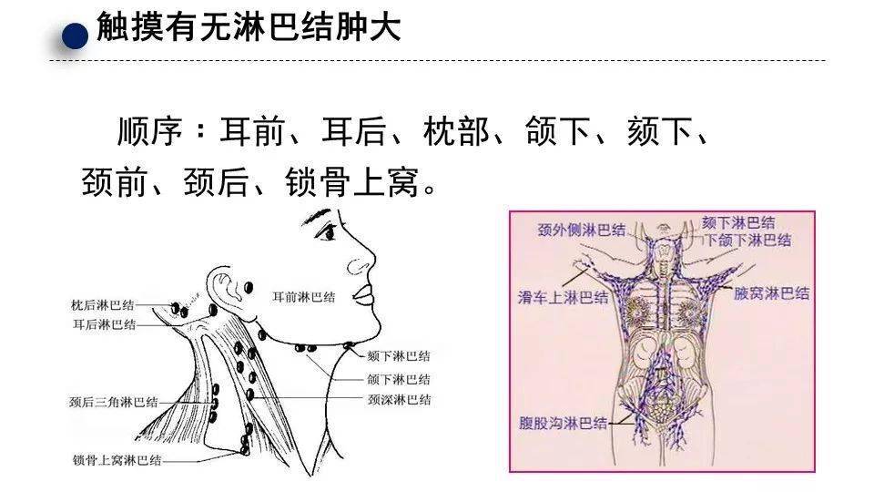 管理师 临床护理科研 小儿推拿 中医预防保健调理技术医养结合管理师