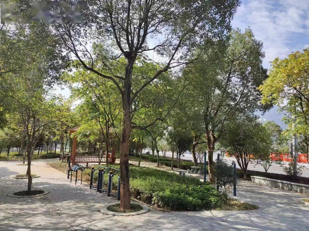 延平:"口袋"小公园, "装起"大民生