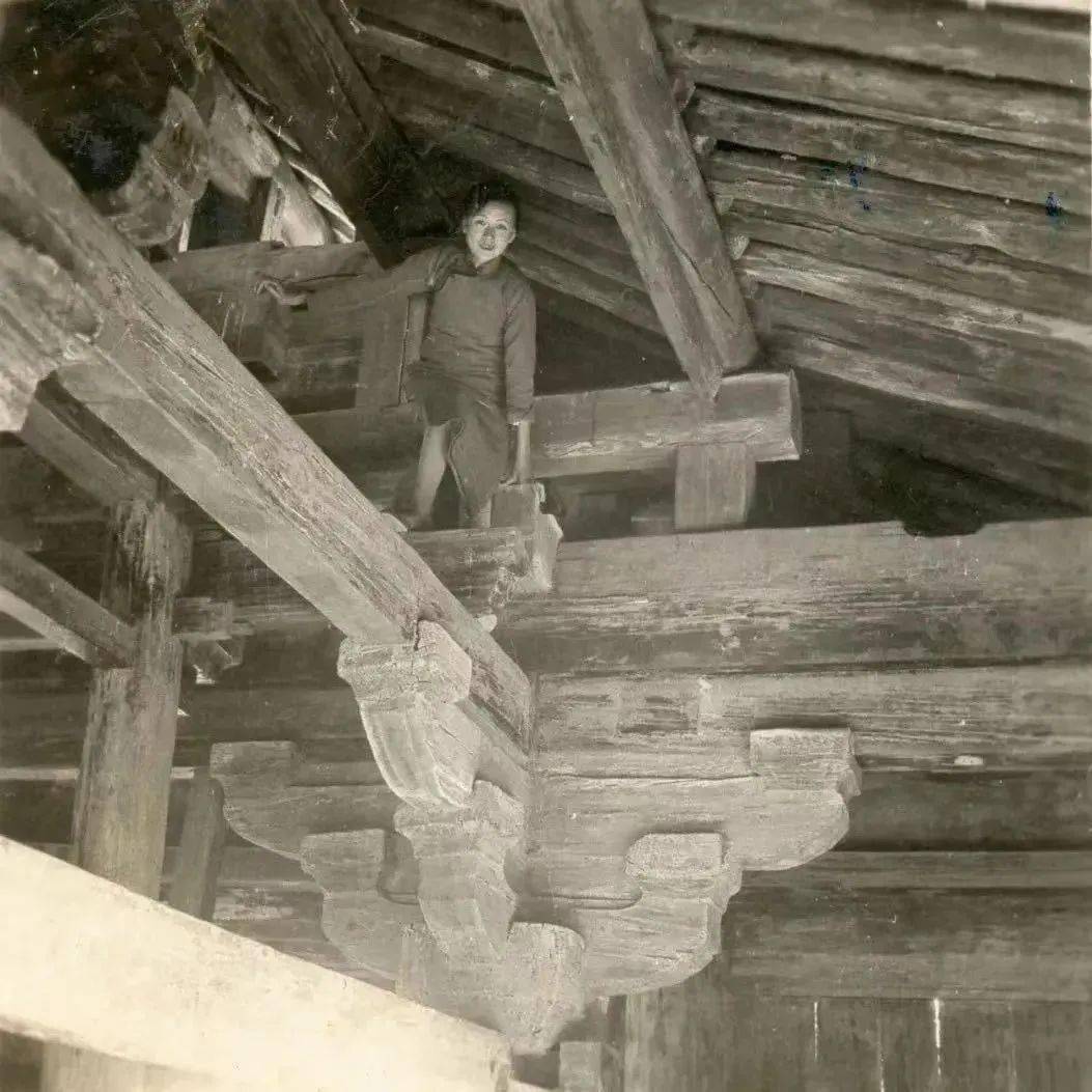 西方_院子_自然