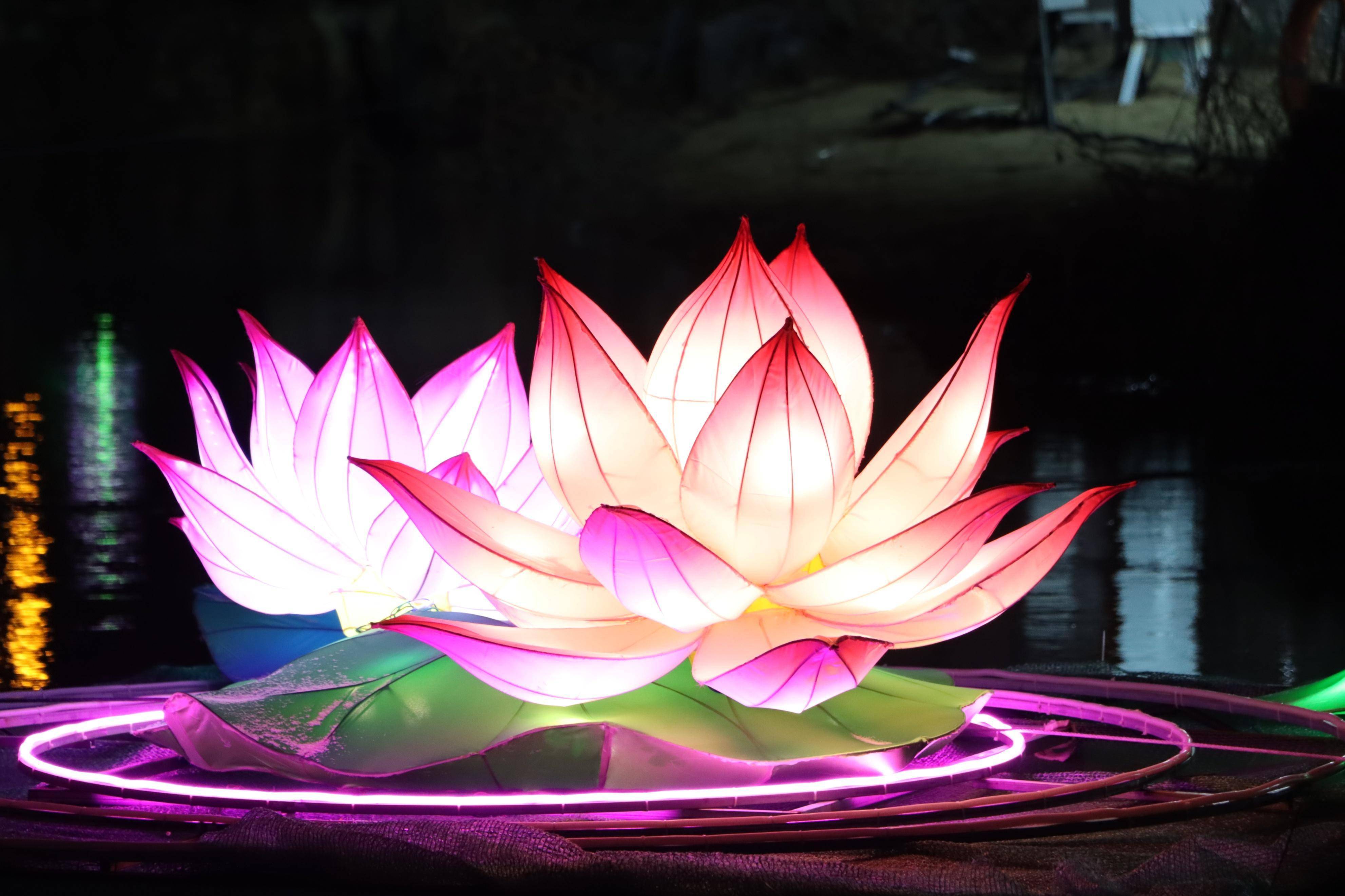 "春满中原 老家河南——2024汉风汉韵游南阳新春文化旅游季"在南阳