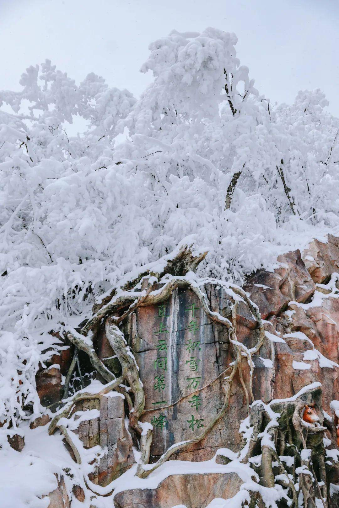 龙头山雪景照片图片